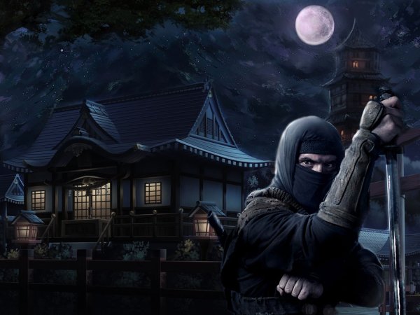 Воин ниндзя