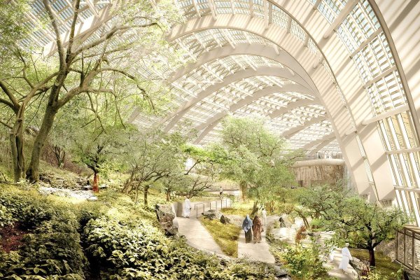 Ботанический сад Иерусалимского университета