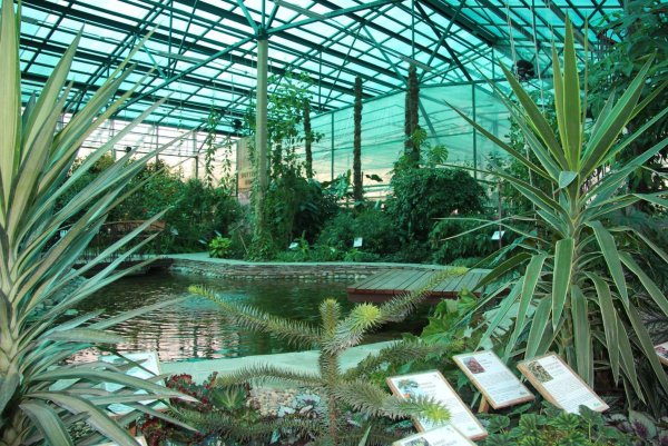 Ботанический сад Вологда