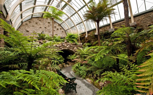 Королевский Ботанический сад Сидней Папоротниковая оранжерея