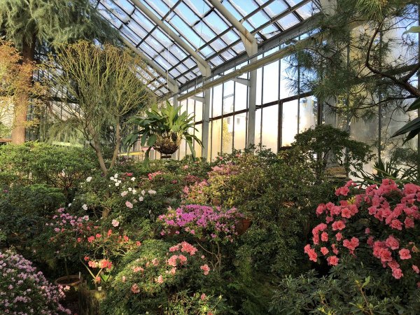 Ботанический сад Петра Великого в Санкт-Петербурге