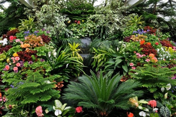 Ботанический сад Чикаго