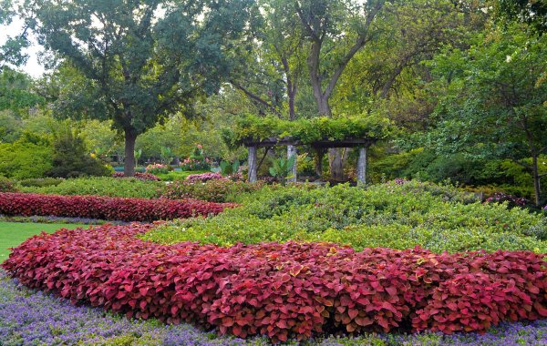 Бонн природа Ботанический сад