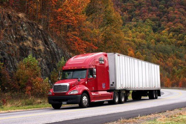 Freightliner бортовой