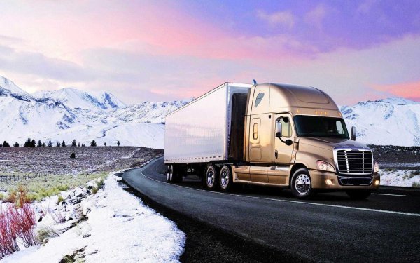 Freightliner Cascadia в России