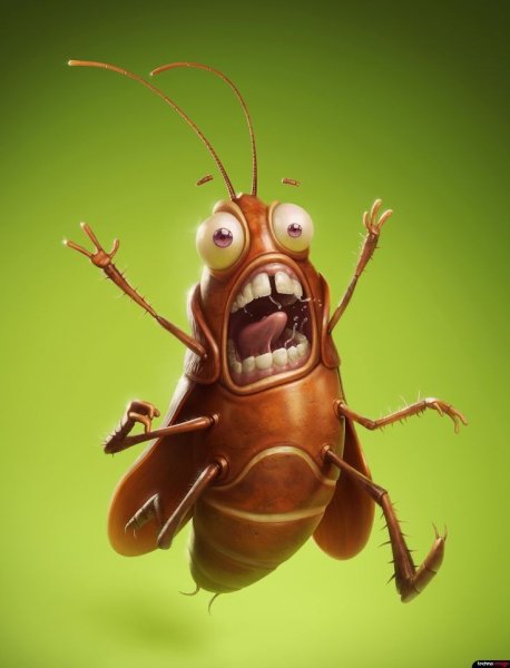 Усатый таракан