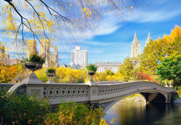 Евгений Лушпин Брюгге