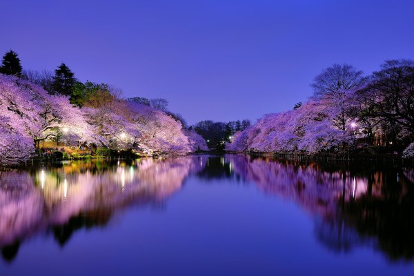 Япония парки пруд Osaka