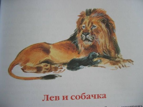 Л Н толстой Лев и собачка 3 класс
