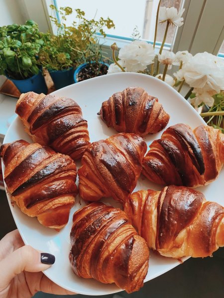 Курасан Эстетика