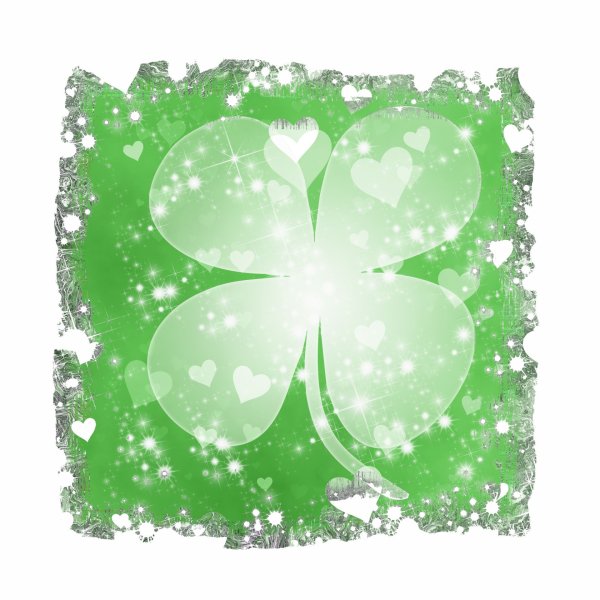 Ирландский Клевер четырехлистный