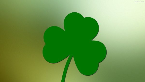 Клевер вариегатный