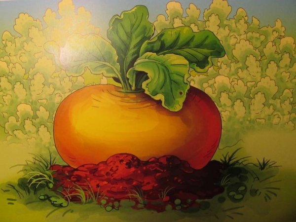 Иллюстрация к сказке Репка