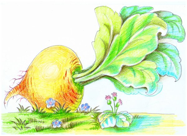 Сказка "Репка"