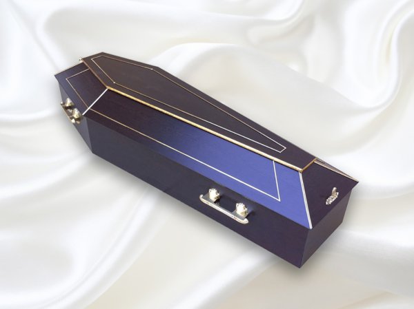 Кейс Warwick гроб