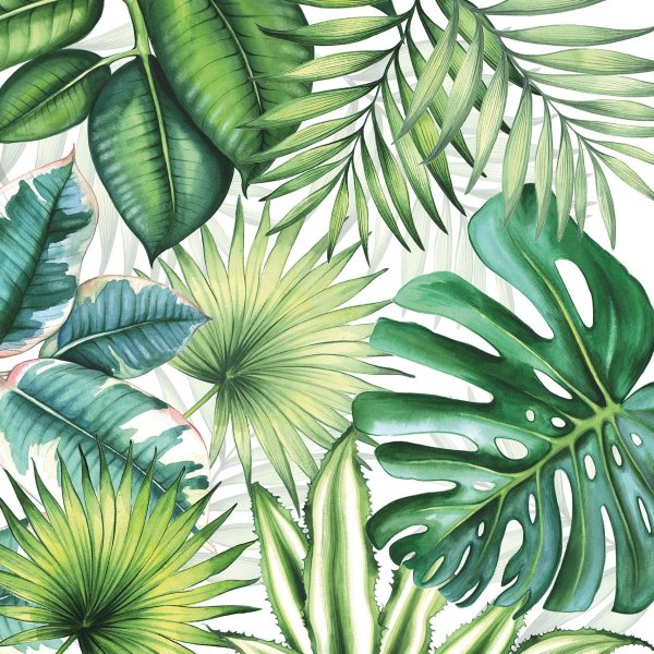 Тропические лист Monstera