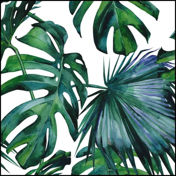 Тропические листья Aralia