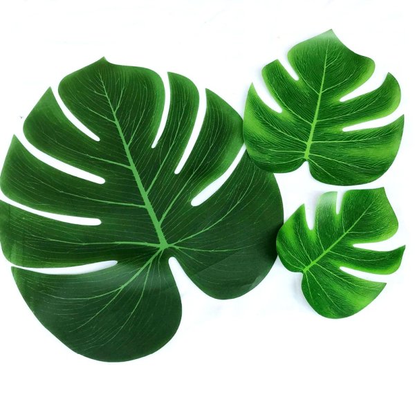 Тропические лист Monstera