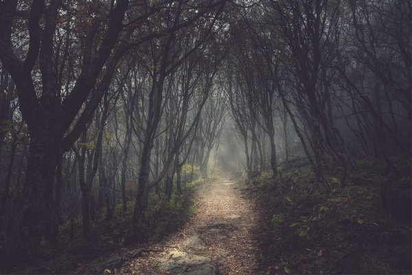 Мрачное Вдохновение
