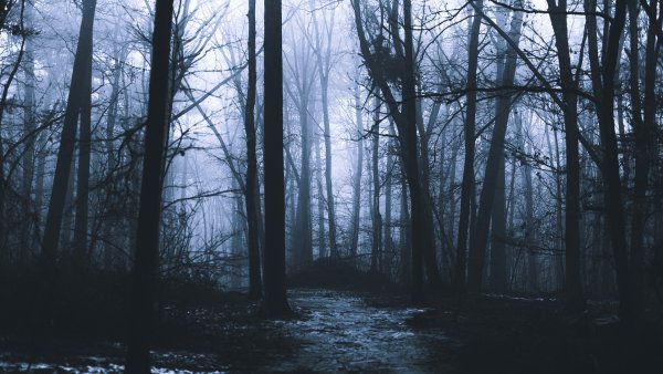 Graveyard вампир Хэллоуин