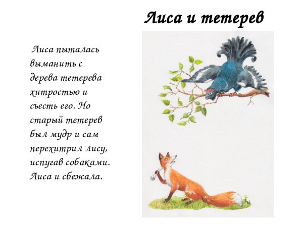 Рассказ лиса и тетерев