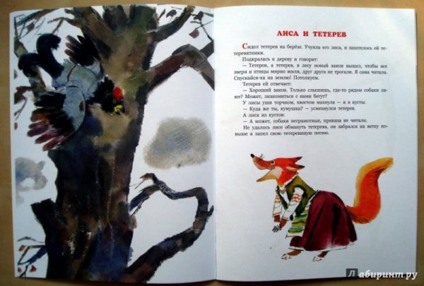 Иллюстрация к сказке лиса и тетерев