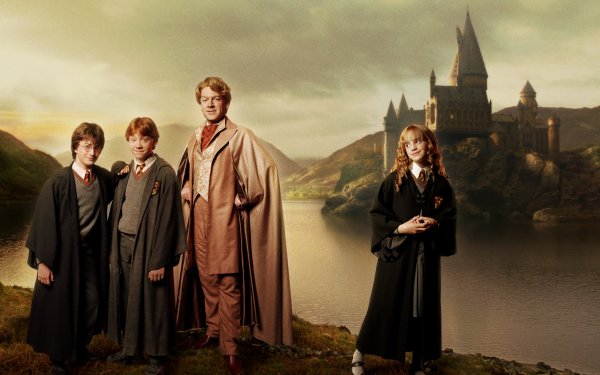 Локонс из Гарри Поттера и Гермиона