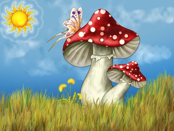 Сказочные грибы