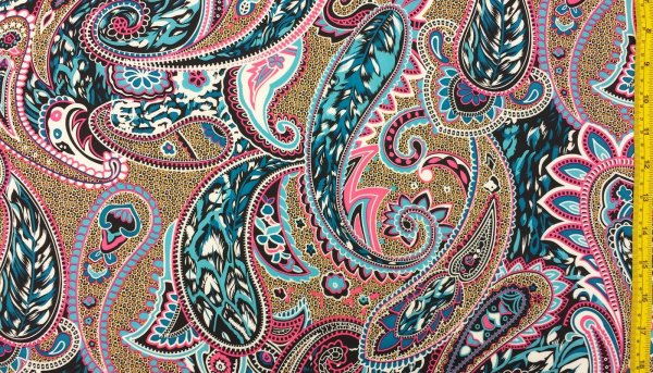 Дэвид пейсли