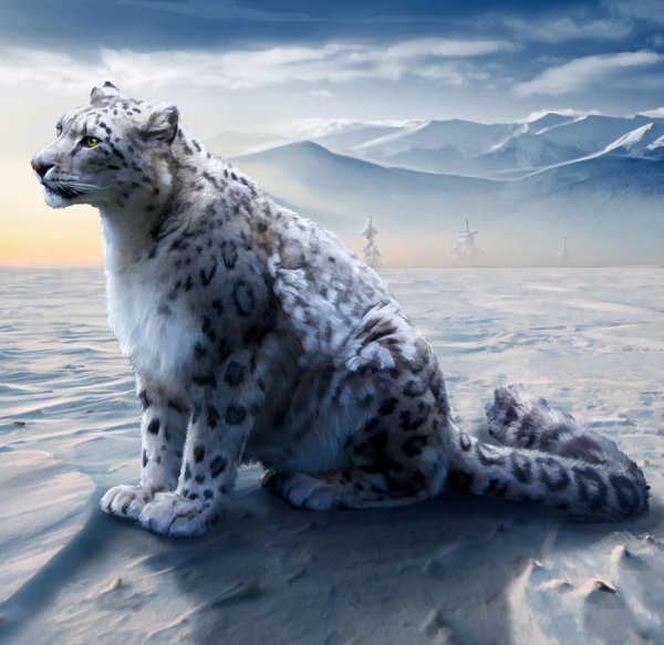 Табакси снежный Барс