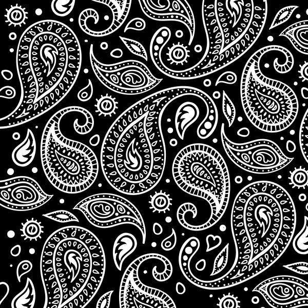 Paisley (пейсли)