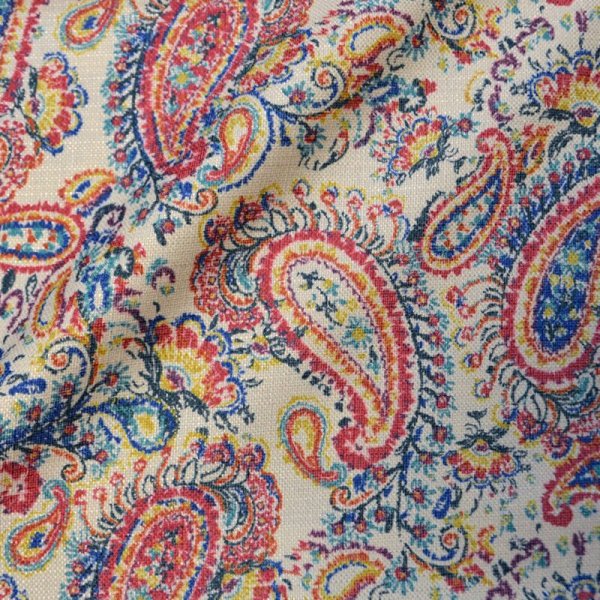 Пейс Лейз турецкий огурец