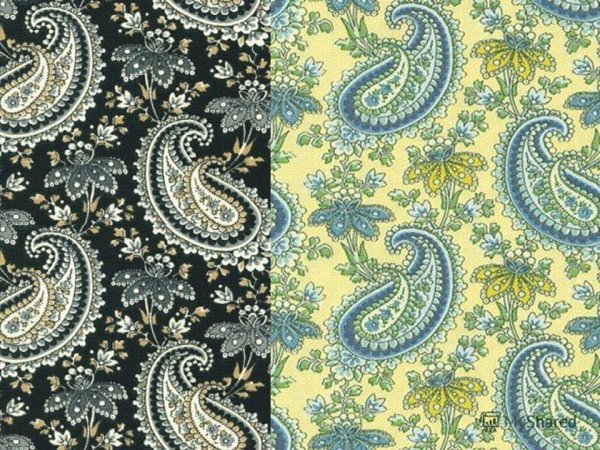 «Индийский или турецкий огурец» (пейсли, Бута)