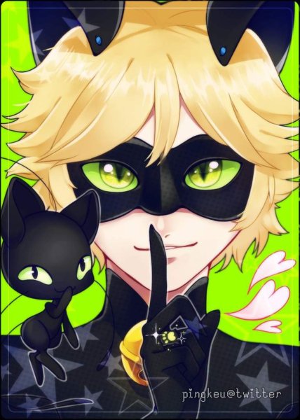Кот Нуар