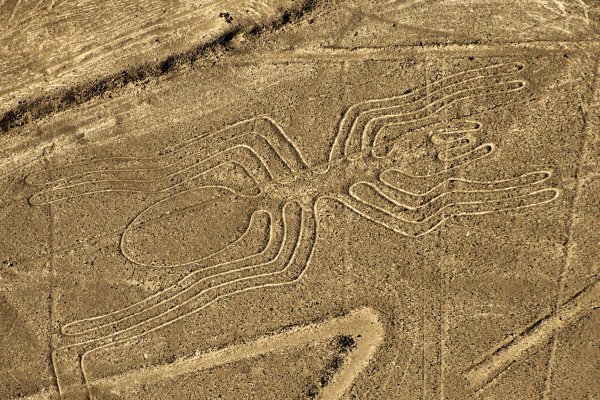 Линии на плато Наска
