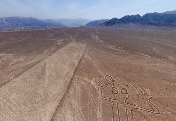 Плато Наска рисунки