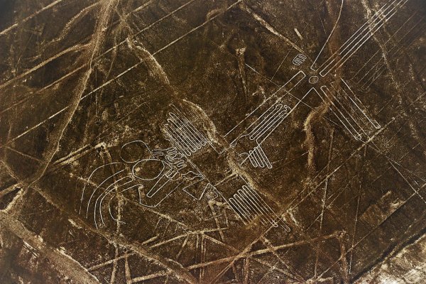 Геоглиф кота в Перу