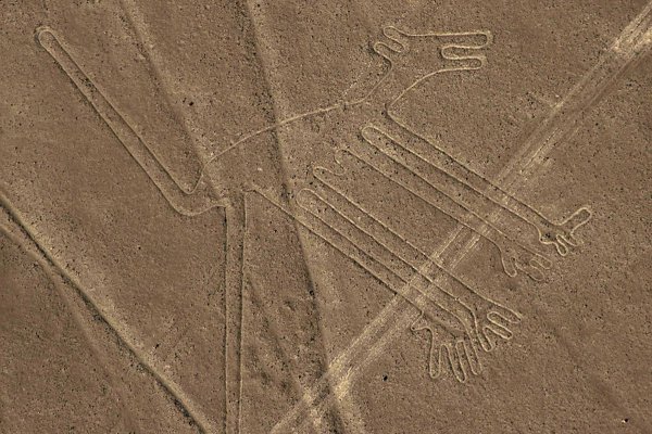 Наска паук геоглиф