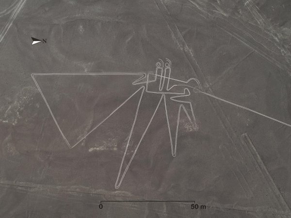 Линии в пустыне Наска