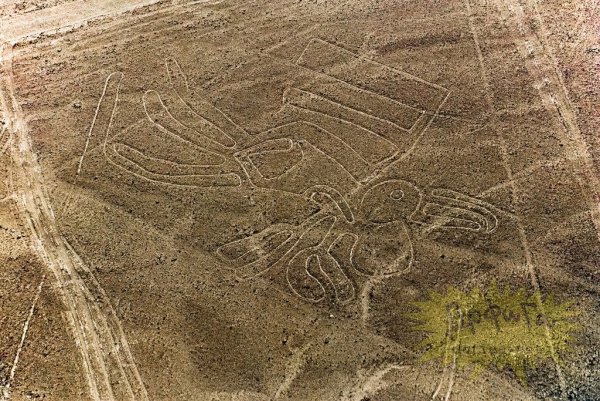 Геоглифы пустыни Наска со спутника