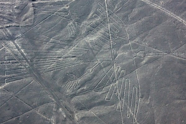 Геоглифы пустыни Наска собака