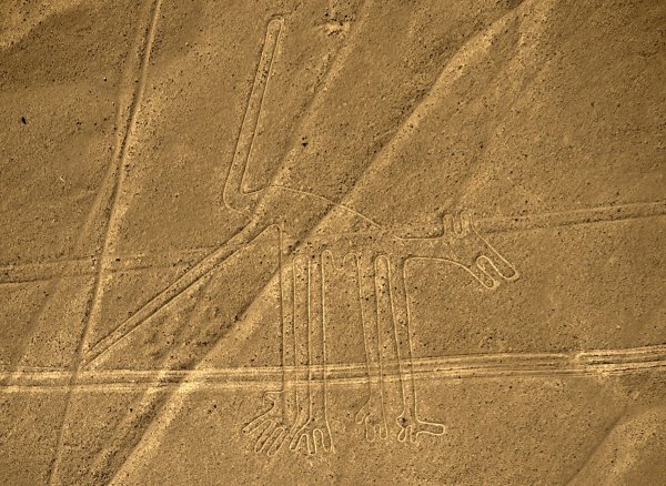 Геоглифы Наска Колибри