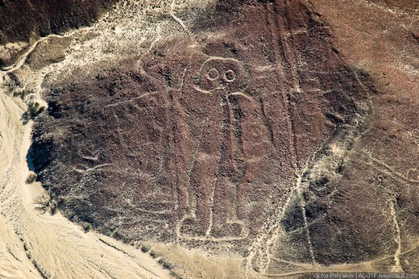 Фигура пустыни Наска собака