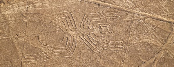 Геоглифы Наска Колибри