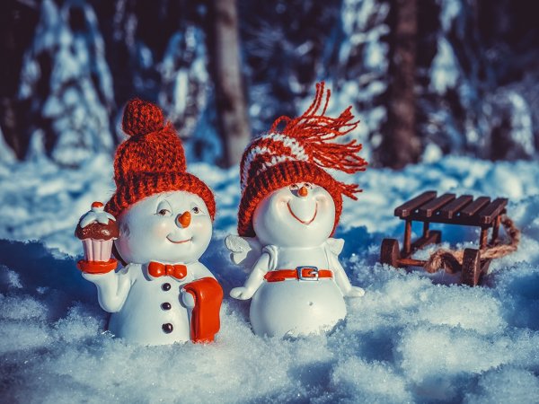 Новогодняя зима