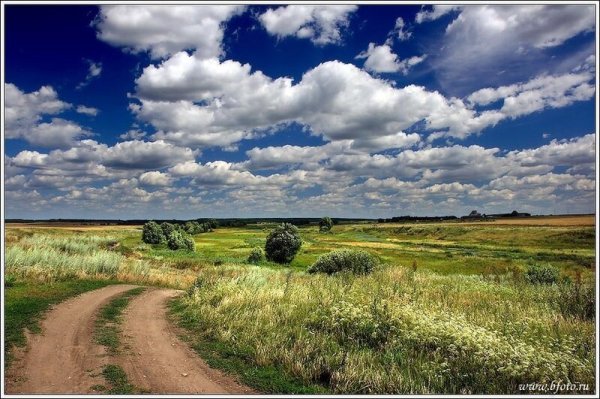 Природа родной земли