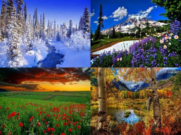 Многообразие природы России