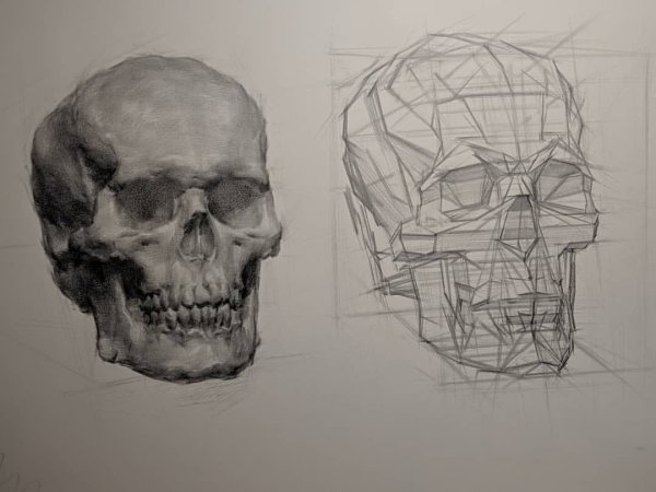 Череп анфас Академический