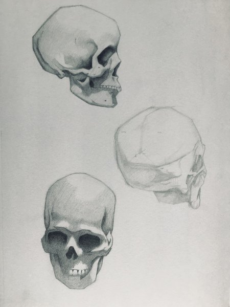 Череп набросок