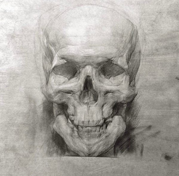 Череп Академический рисунок анфас